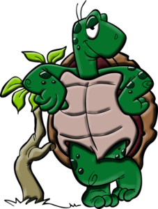 Read more about the article Turtles Are Not Mutant Ninjas (Why Margin Matters!)